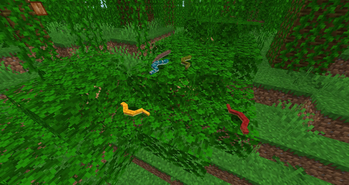 Colorful Snakes
