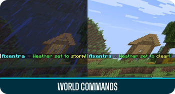 World commands