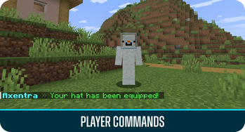 Player commands