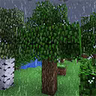 Realistic Rain