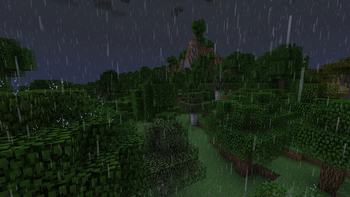 Rain in Forest