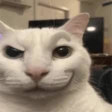 kitty save you 