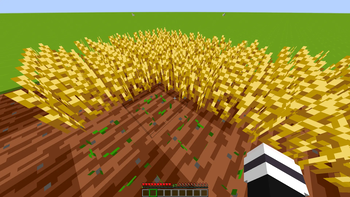 farm