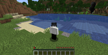 Game-Play Image!