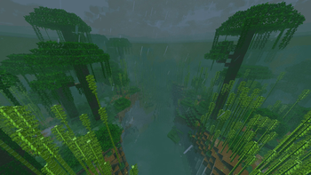 Rainy Bamboo Jungle