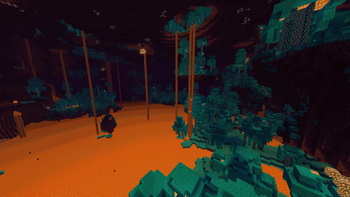 Warped Forest