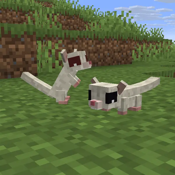 white variant from 1.0.2