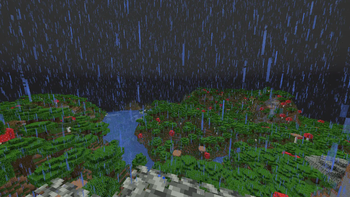 Rain