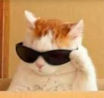 SupremeToast