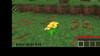 close up of gui