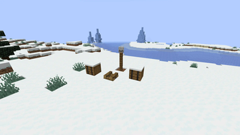 Snowy Buried Site