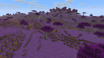 savanna