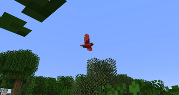 Northern cardinal flying