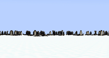 Emperor penguin colony