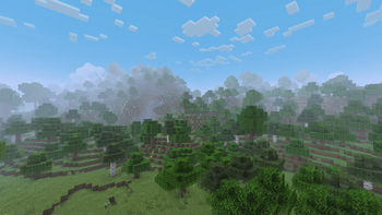 Foggy Scenery