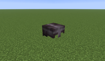 Netherite helmet
