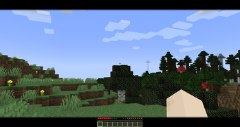 Zoom preview 2