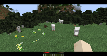 Zoom preview