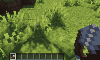 Shear Grass