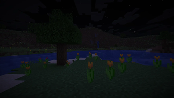 Compact Night Vision — screenshot 1