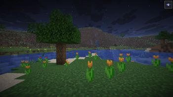NV on: