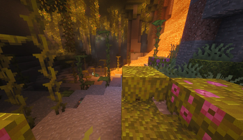 Euphoria Caves