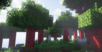 Red Oak Forest 2