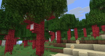 Red Oak Forest