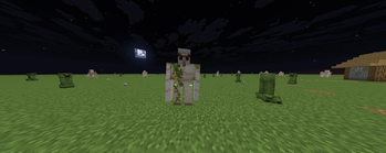 New iron golem texture in game