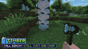 Birch
