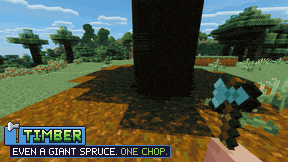 Giant spruce