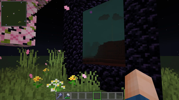 immersive portals