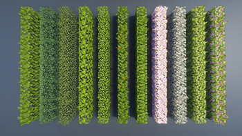 Variated Leaves