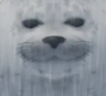 Modrinth profile picture for @bonus