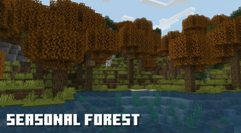 Seasonal Forest