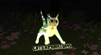 -w-