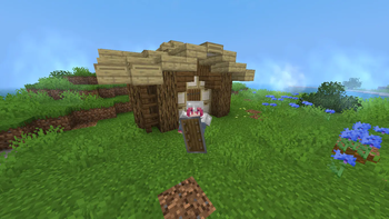 my house!!!