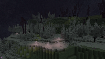 A new end biome, the Veiled Woodlands