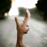 MrMichelin