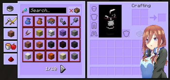 Player Inventory (Survival)