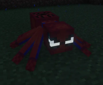 spiders