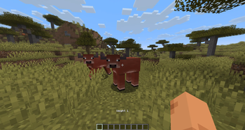Right click a farm animal to see the weight