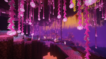 Nether Biomes