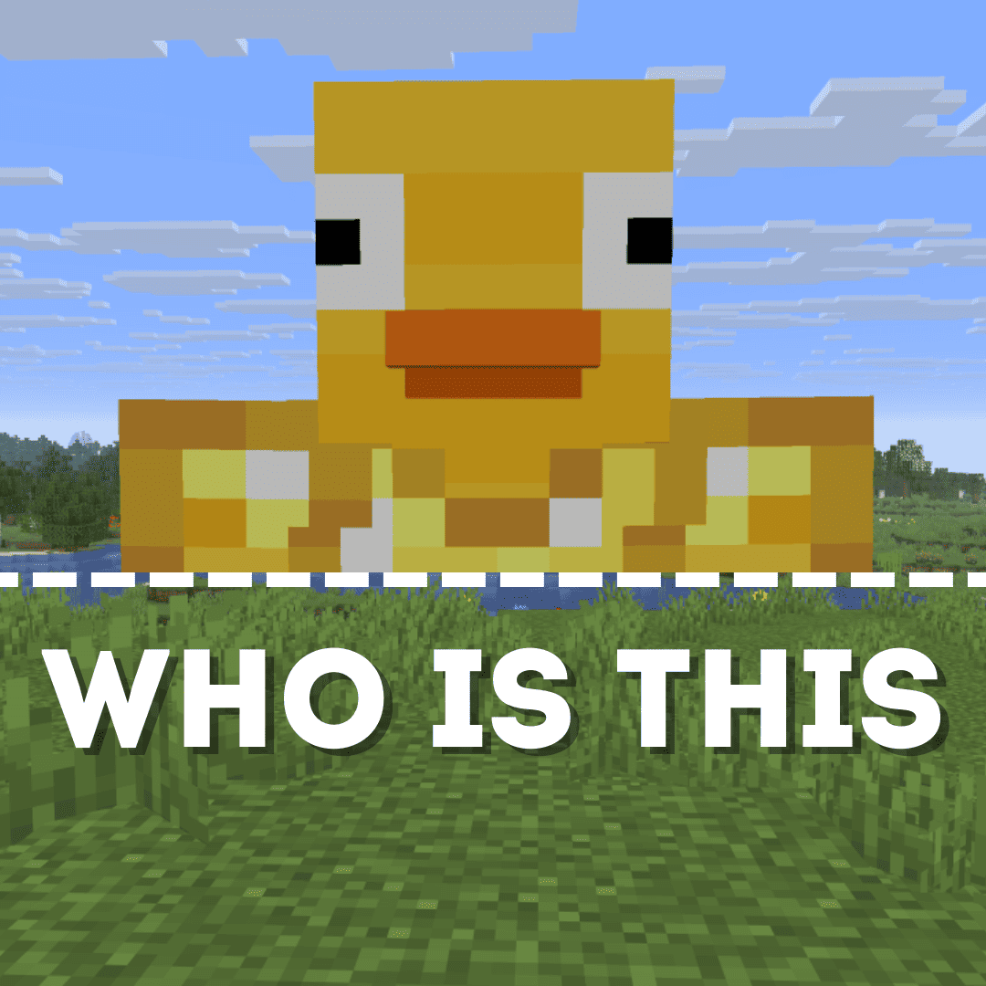 WHO IS THIS – Anti Invisibility