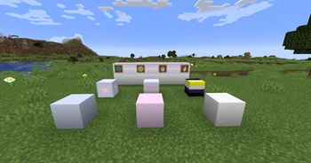 Blocks and items in GenderCraft