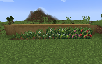 Crop Stages