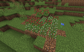 Default Bushes