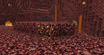Nether Ores