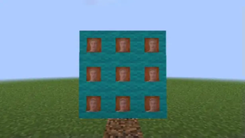 Sasha totem in frames