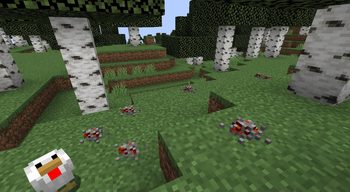 Ore samples